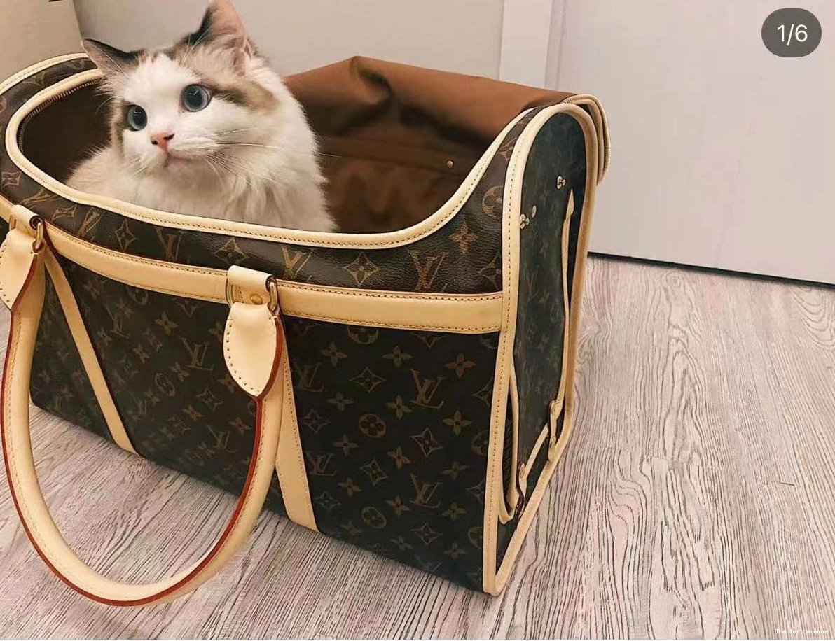 LV PET BAG CUSTOM 0814